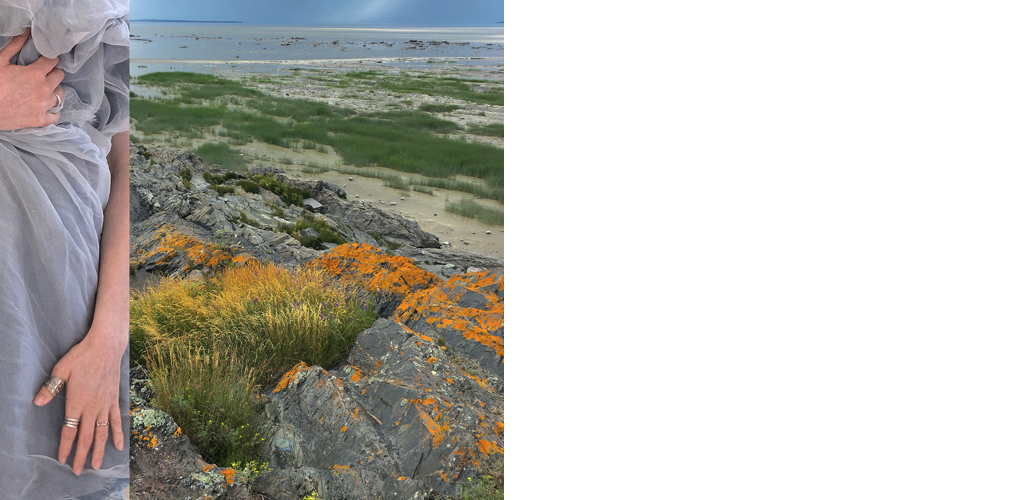 miniature site web - Geneix