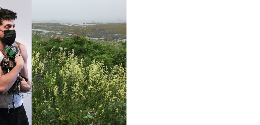 miniature site web - Labrecque