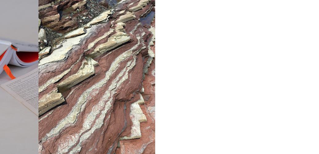 miniature site web - Panet-Gigon